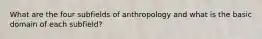 What are the four subfields of anthropology and what is the basic domain of each subfield?