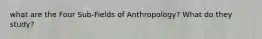 what are the Four Sub-Fields of Anthropology? What do they study?