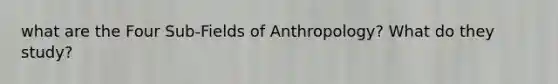 what are the Four Sub-Fields of Anthropology? What do they study?