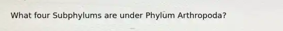 What four Subphylums are under Phylum Arthropoda?