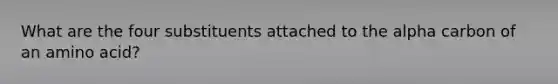 What are the four substituents attached to the alpha carbon of an amino acid?