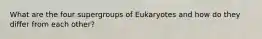 What are the four supergroups of Eukaryotes and how do they differ from each other?