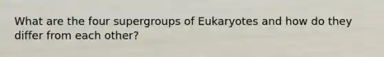 What are the four supergroups of Eukaryotes and how do they differ from each other?