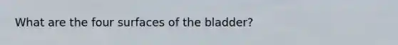 What are the four surfaces of the bladder?