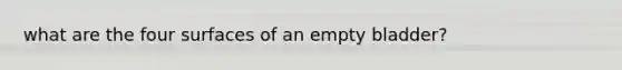 what are the four surfaces of an empty bladder?