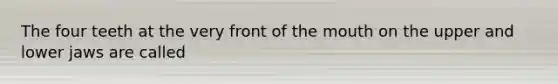 The four teeth at the very front of the mouth on the upper and lower jaws are called