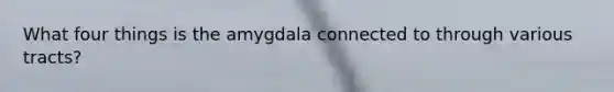 What four things is the amygdala connected to through various tracts?