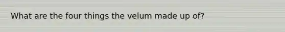 What are the four things the velum made up of?