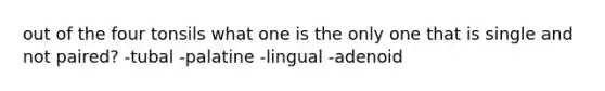 out of the four tonsils what one is the only one that is single and not paired? -tubal -palatine -lingual -adenoid