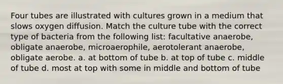 Four tubes are illustrated with cultures grown in a medium that slows oxygen diffusion. Match the culture tube with the correct type of bacteria from the following list: facultative anaerobe, obligate anaerobe, microaerophile, aerotolerant anaerobe, obligate aerobe. a. at bottom of tube b. at top of tube c. middle of tube d. most at top with some in middle and bottom of tube