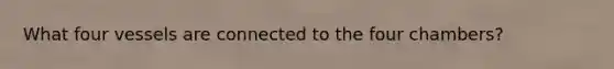 What four vessels are connected to the four chambers?