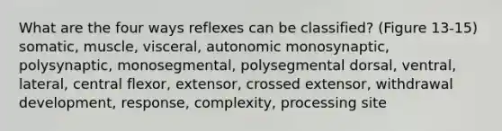 What are the four ways reflexes can be classified? (Figure 13-15) somatic, muscle, visceral, autonomic monosynaptic, polysynaptic, monosegmental, polysegmental dorsal, ventral, lateral, central flexor, extensor, crossed extensor, withdrawal development, response, complexity, processing site