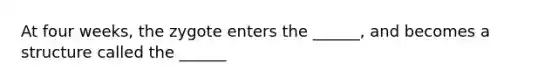 At four weeks, the zygote enters the ______, and becomes a structure called the ______