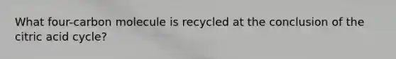 What four-carbon molecule is recycled at the conclusion of the citric acid cycle?