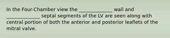 In the Four-Chamber view the ______________ wall and ______________ septal segments of the LV are seen along with central portion of both the anterior and posterior leaflets of the mitral valve.