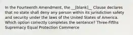 In the Fourteenth Amendment, the __[blank]__ Clause declares that no state shall deny any person within its jurisdiction safety and security under the laws of the United States of America. Which option correctly completes the sentence? Three-Fifths Supremacy Equal Protection Commerce