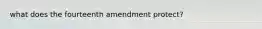 what does the fourteenth amendment protect?