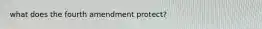 what does the fourth amendment protect?