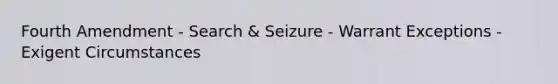 Fourth Amendment - Search & Seizure - Warrant Exceptions - Exigent Circumstances