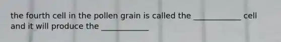 the fourth cell in the pollen grain is called the ____________ cell and it will produce the ____________