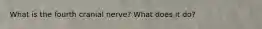 What is the fourth cranial nerve? What does it do?