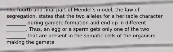 The fourth and final part of Mendel's model, the law of segregation, states that the two alleles for a heritable character ________ during gamete formation and end up in different ________. Thus, an egg or a sperm gets only one of the two ________ that are present in the somatic cells of the organism making the gamete