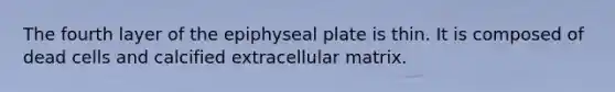 The fourth layer of the epiphyseal plate is thin. It is composed of dead cells and calcified extracellular matrix.