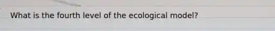 What is the fourth level of the ecological model?