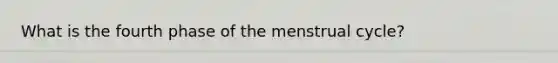 What is the fourth phase of the menstrual cycle?