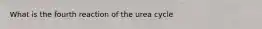 What is the fourth reaction of the urea cycle