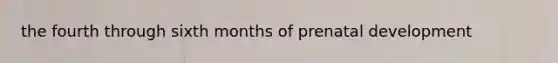 the fourth through sixth months of prenatal development