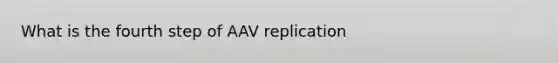 What is the fourth step of AAV replication