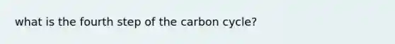 what is the fourth step of the carbon cycle?