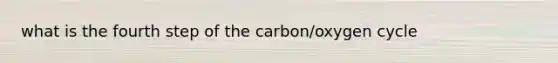 what is the fourth step of the carbon/oxygen cycle