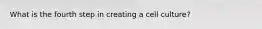 What is the fourth step in creating a cell culture?