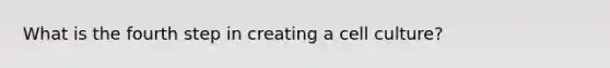 What is the fourth step in creating a cell culture?