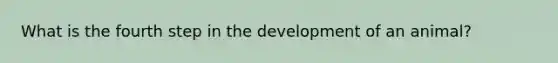 What is the fourth step in the development of an animal?