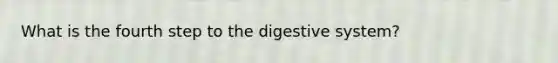 What is the fourth step to the digestive system?