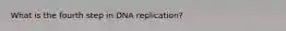 What is the fourth step in DNA replication?