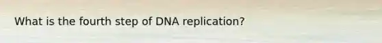 What is the fourth step of DNA replication?