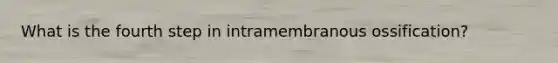 What is the fourth step in intramembranous ossification?