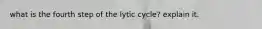 what is the fourth step of the lytic cycle? explain it.