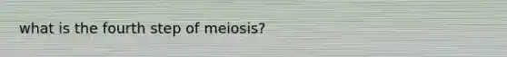 what is the fourth step of meiosis?