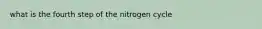 what is the fourth step of the nitrogen cycle