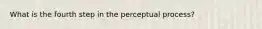 What is the fourth step in the perceptual process?