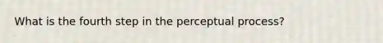 What is the fourth step in the perceptual process?