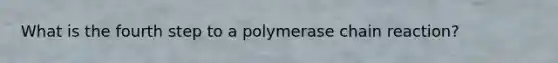 What is the fourth step to a polymerase chain reaction?