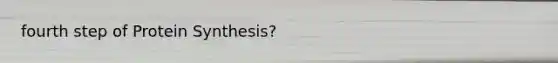 fourth step of Protein Synthesis?