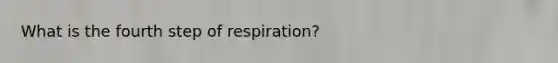 What is the fourth step of respiration?