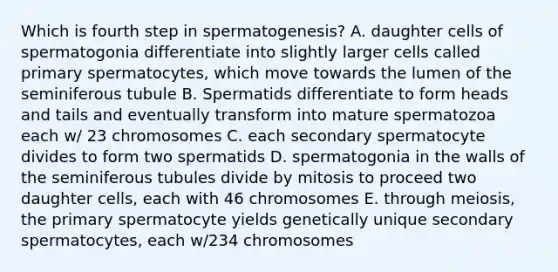 Which is fourth step in spermatogenesis? A. daughter cells of spermatogonia differentiate into slightly larger cells called primary spermatocytes, which move towards the lumen of the seminiferous tubule B. Spermatids differentiate to form heads and tails and eventually transform into mature spermatozoa each w/ 23 chromosomes C. each secondary spermatocyte divides to form two spermatids D. spermatogonia in the walls of the seminiferous tubules divide by mitosis to proceed two daughter cells, each with 46 chromosomes E. through meiosis, the primary spermatocyte yields genetically unique secondary spermatocytes, each w/234 chromosomes